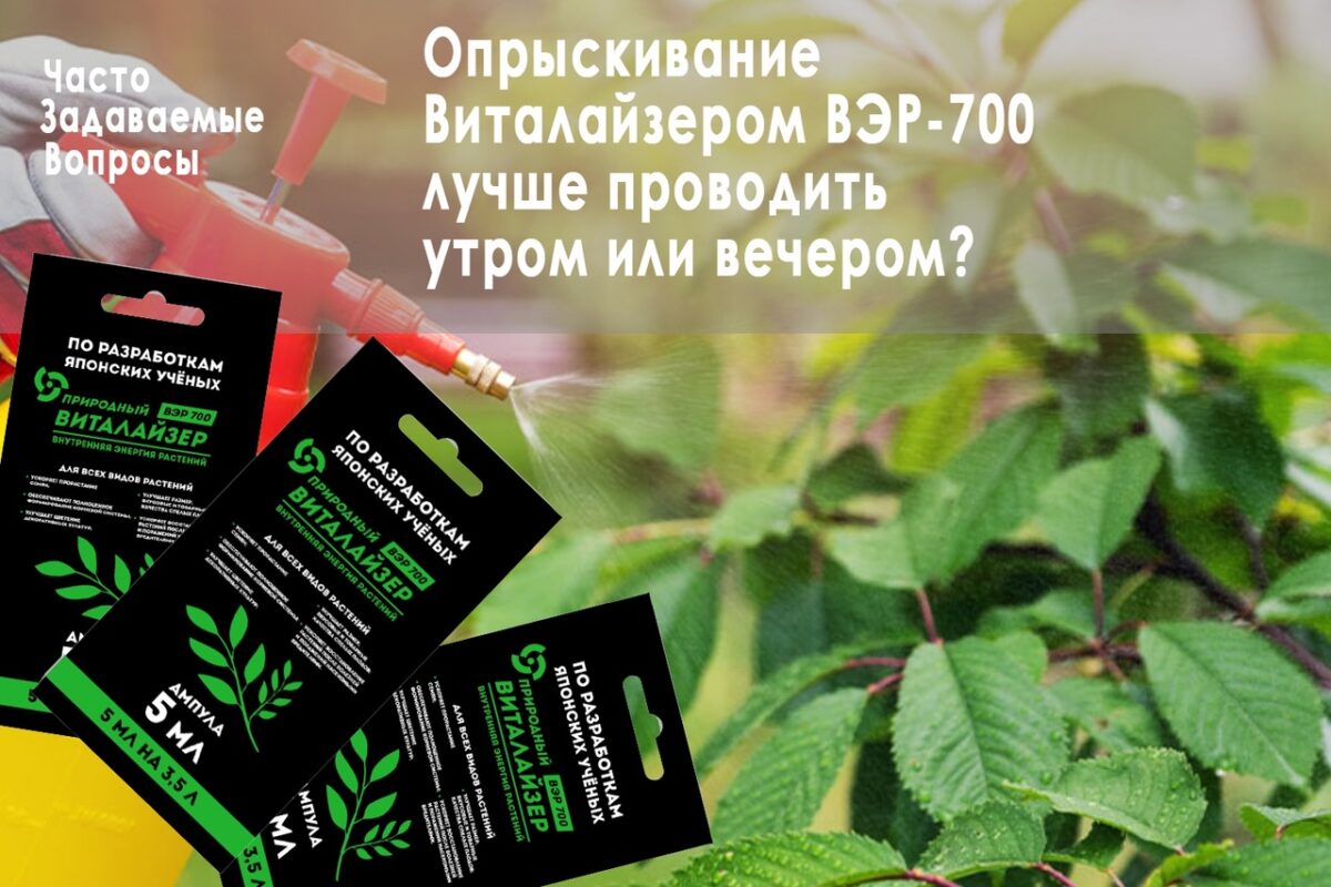 Вопрос, требующий срочного ответа. Вопрос, требующий срочного ответа.