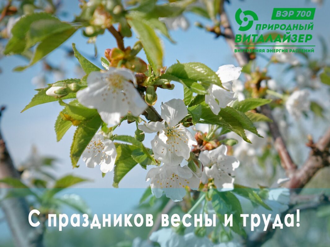 С праздником весны и труда! С праздником весны и труда!