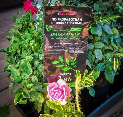 Виталайзер ВЭР-700 для красивых роз