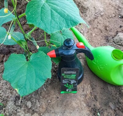 Нужен ли Виталазер ВЭР - 700 летом?