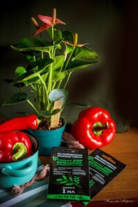 Особенности применения Виталайзер ВЭР - 700, если у Вас в доме сухой воздух.