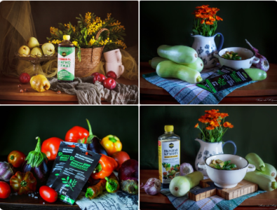 Во время возвратных заморозков подмерзли садовые культуры и цветы, чем им помочь?